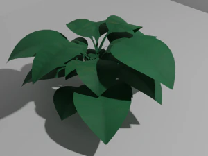 साधारण पौधा 1 3D मॉडल