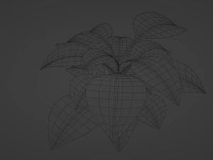 simple plant 1 3D Model