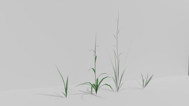 Grass Model 3D .c4d .max .obj .3ds .fbx .stl .blend 