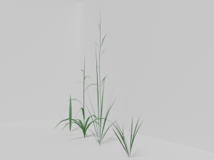 Grass Model 3D