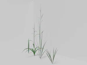 घास 3D मॉडल