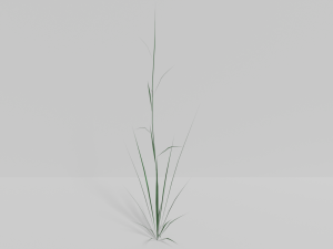 Grass Model 3D
