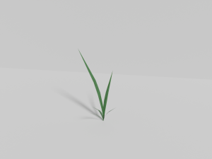 Grass Model 3D
