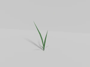 घास 3D मॉडल
