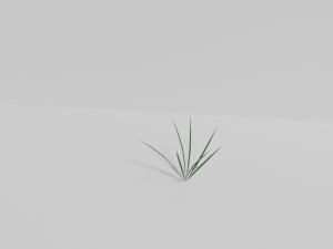 Grass Model 3D