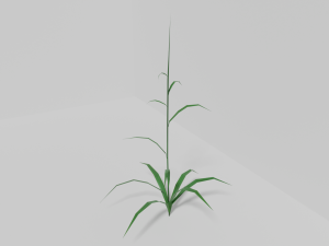 Grass Model 3D