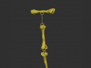 Skull and Bones Pendant 3Dプリントモデル