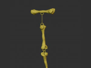 Skull and Bones Pendant 3D Print Model