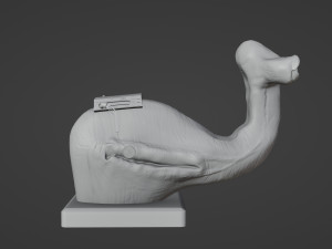 Mok Shaiz Bust 3D Принт Модель