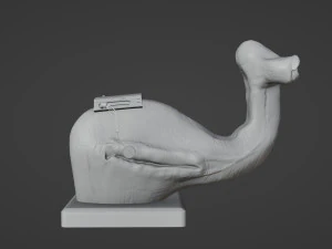 Mok Shaiz Bust 3D Print Model