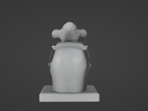 Mok Shaiz Bust 3D Принт Модель