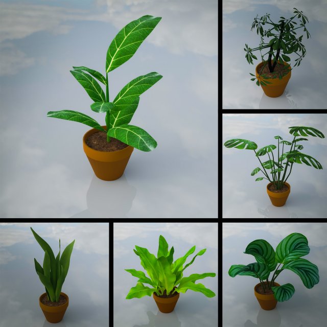 Indoor Plants Lowpoly Pack 3D Model .c4d .max .obj .3ds .fbx .stl .blend 