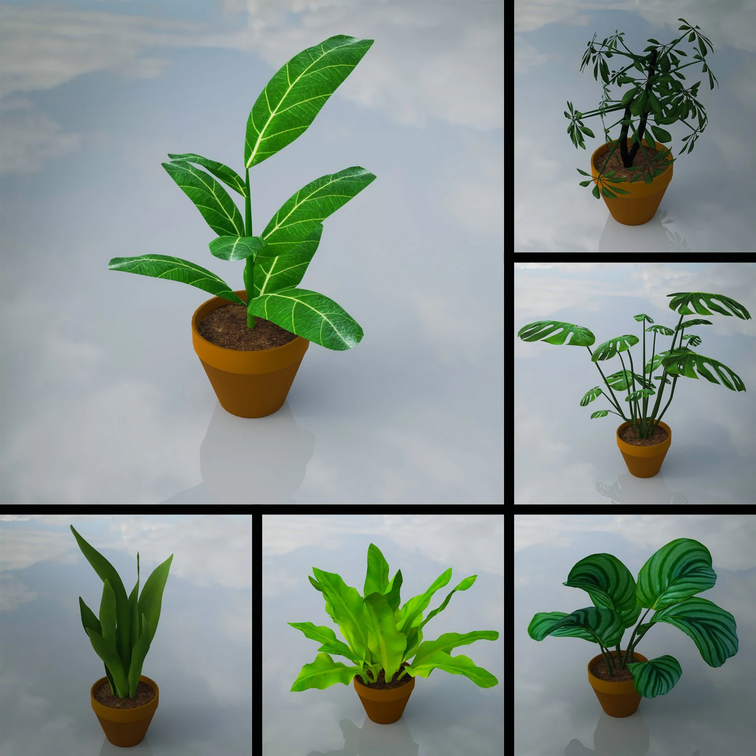 Indoor Plants Lowpoly Pack 3D Model .c4d .max .obj .3ds .fbx .stl .blend
