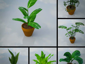 Pacote Lowpoly de plantas de interior Modelo 3D