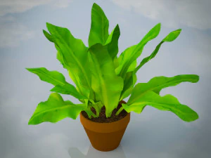 Indoor Plants Lowpoly Pack 3D Model