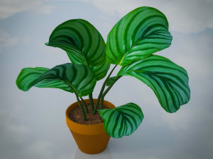 Indoor Plants Lowpoly Pack 3D Model
