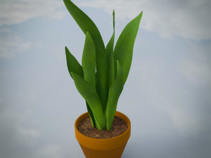 Indoor Plants Lowpoly Pack 3D Model