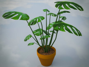 Indoor Plants Lowpoly Pack 3D Model