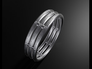 Ring 1 3Dプリントモデル