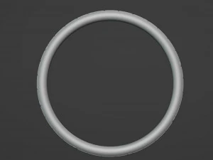 Ring 1 3D Print Model