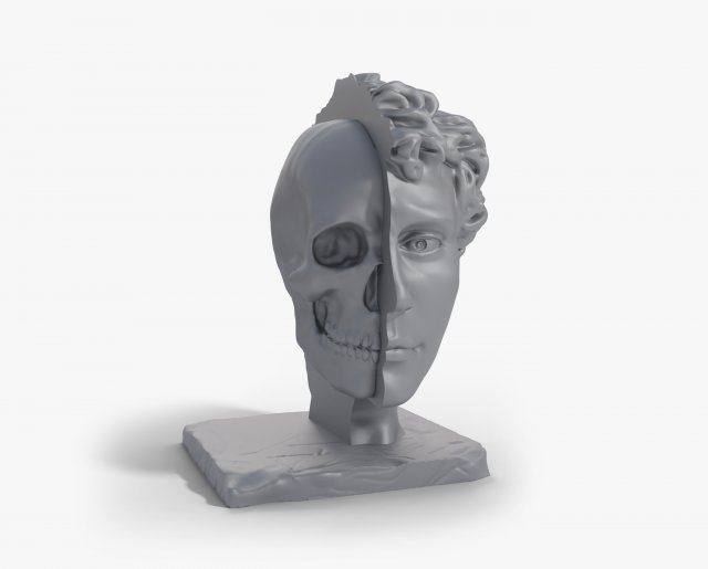 Half head Half skull Bust 3D प्रिंट मॉडल .c4d .max .obj .3ds .fbx .stl .blend 