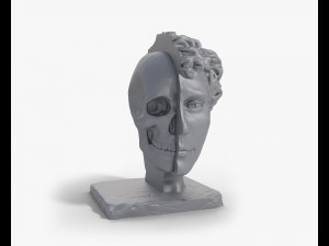 Half head Half skull Bust Modelo de impresión 3D