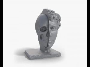 P&oacute;ł głowy P&oacute;ł czaszki Popiersie Model do druku 3D