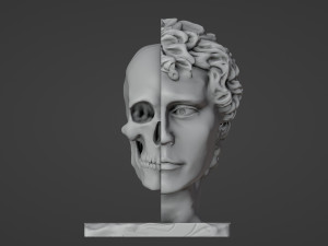 Half head Half skull Bust 3D प्रिंट मॉडल