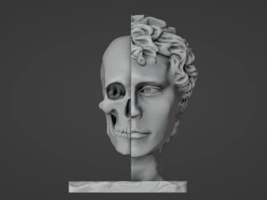 Half head Half skull Bust 3D Print Model