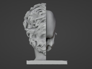 Half head Half skull Bust 3D प्रिंट मॉडल