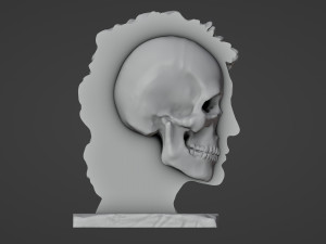 Half head Half skull Bust 3D प्रिंट मॉडल