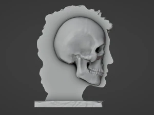 Half head Half skull Bust 3D Print Model