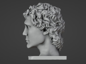 Half head Half skull Bust 3D प्रिंट मॉडल