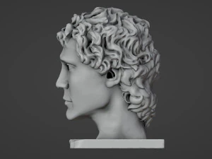 Half head Half skull Bust 3D Print Model