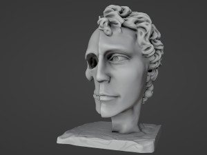 Half head Half skull Bust 3D प्रिंट मॉडल