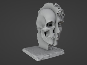Half head Half skull Bust 3D प्रिंट मॉडल