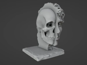 Half head Half skull Bust 3D Print Model