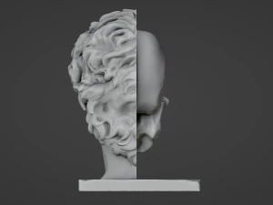 Half head Half skull Bust 3D Print Model