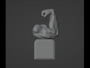 You Can Do It Motivational Reminder Modelo de impresión 3D