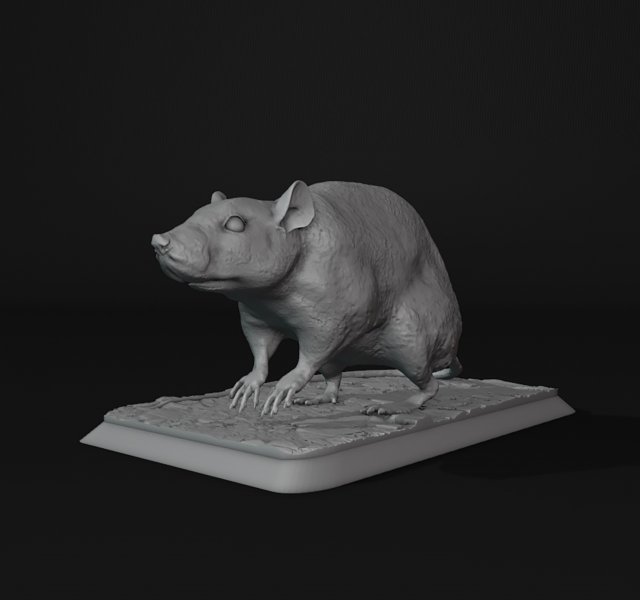 Rat 3D Print Model .c4d .max .obj .3ds .fbx .stl .blend 