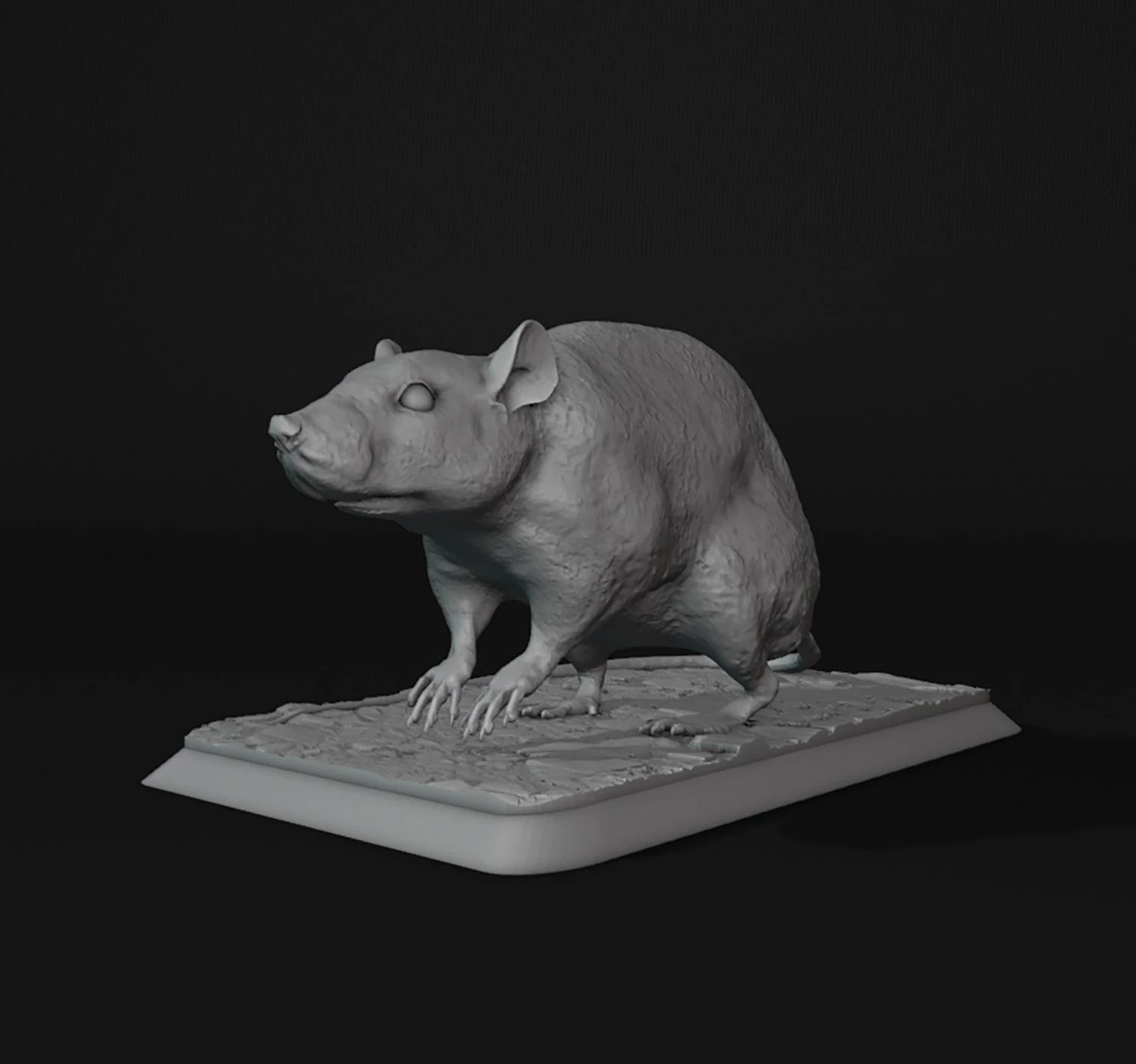 Rat 3D Print Model .c4d .max .obj .3ds .fbx .stl .blend 