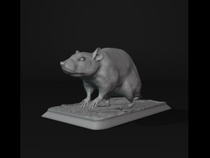 Rat 3Dプリントモデル