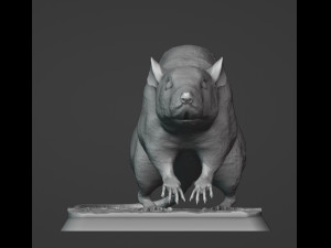 Rat 3D Print Model