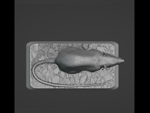 Rat 3D Print Model