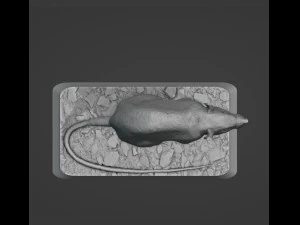 Rat 3D Print Model