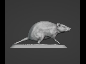Rat 3D Print Model