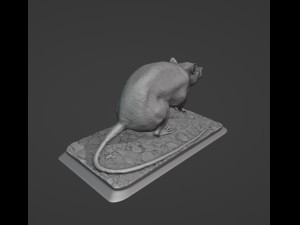 Rat 3D Print Model