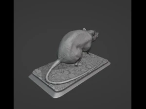 Rat 3D Print Model