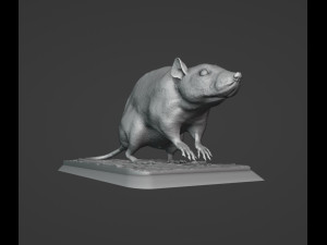 Rat 3D Print Model