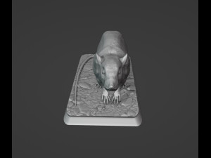Rat 3D Print Model